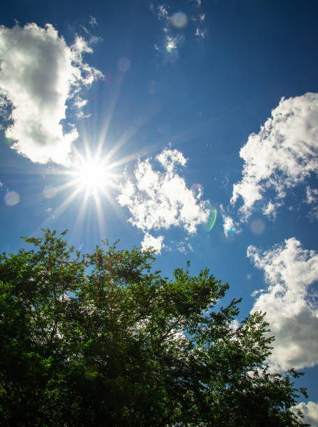 istock Star Burst Summer Sun at Dawn 2160781587