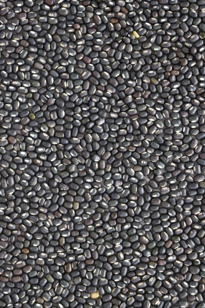 Stock photo features a full-frame display of split Vigna mungo, split black lentils/ urad dal, and a mix of dried dal beans. These nutrient-rich legumes are high in protein and dietary fiber, making them ideal for a healthy diet