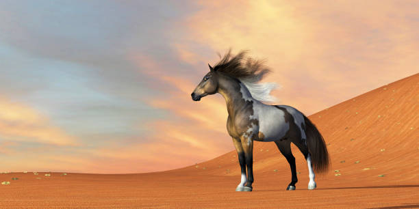 istock Wild Mustang Horse 2160786900