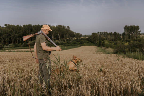 A hunter walks through a field of wheat, shotgun slung over his shoulder, with his dog at his side. The field is golden brown, and the sky is cloudy. The trees in the background are green, and the air is still.