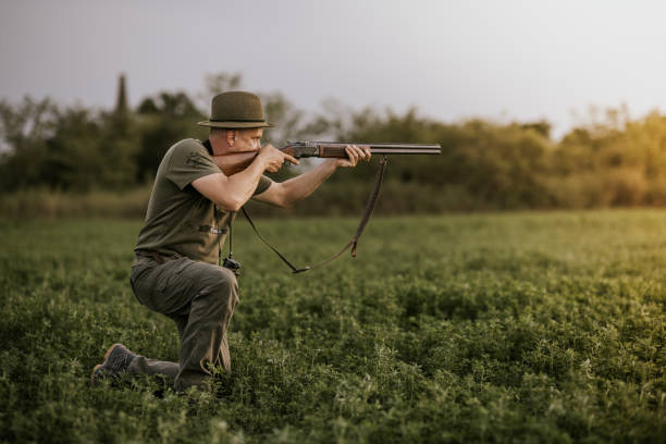 A hunter kneels in a field of green grass, aiming a shotgun at an unseen target. The sun is setting in the background, casting a warm golden glow over the scene. The hunter is wearing a green hat and shirt, and dark pants.