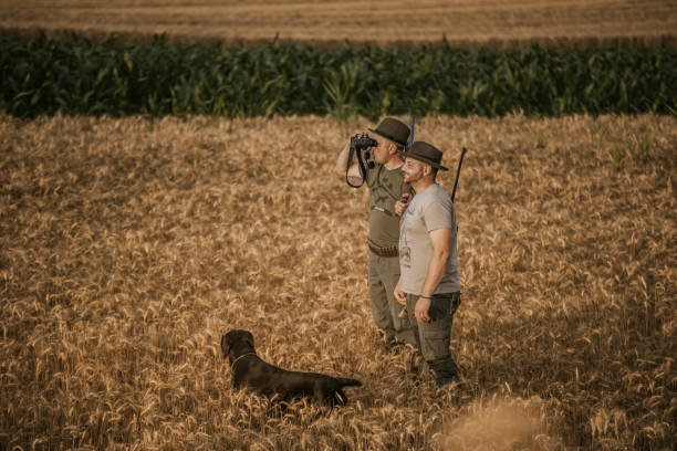 Two hunters in hats stand in a field of golden wheat, with their dog lying in the grass. They are looking through binoculars and holding rifles. The sun is setting in the background, creating a warm glow.