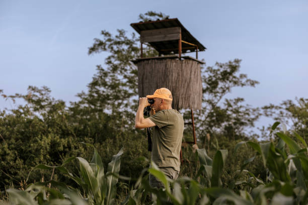 istock Hunter using binoculars near a hunting blind in a field 2160793014