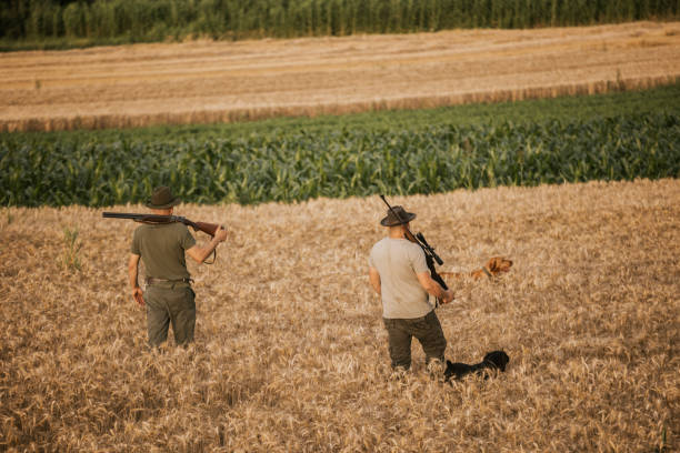 istock Two hunters walk through a field with their dogs 2160793044