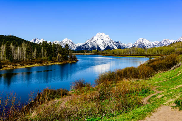 Mt Moran Across the Lake