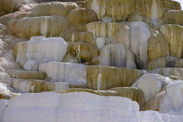 Mineral Deposits in Mammoth Hot Springs