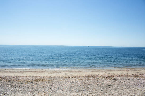 Beach Scene State park
