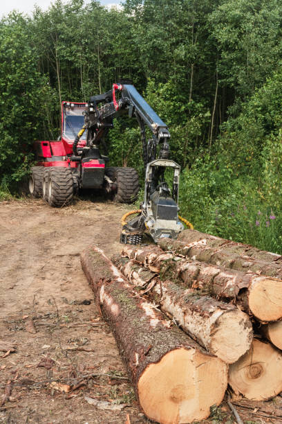 istock Red forest harvesting machine at work of a plantation. Wheeled harvester stands near a stack of sawn logs against the backdrop of a green forest. Timber harvesters, modern lumberjack. Logging machines 2160796156
