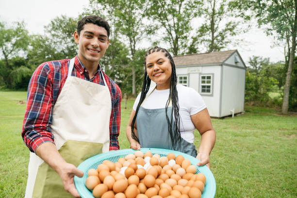 istock Farmer couple holding a tray of eggs 2160797986