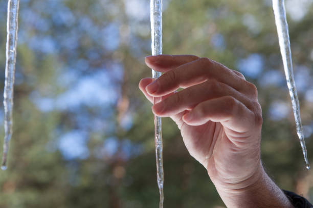 Hand touchs sharp icicles hanging on the edge of the roof. Forest background