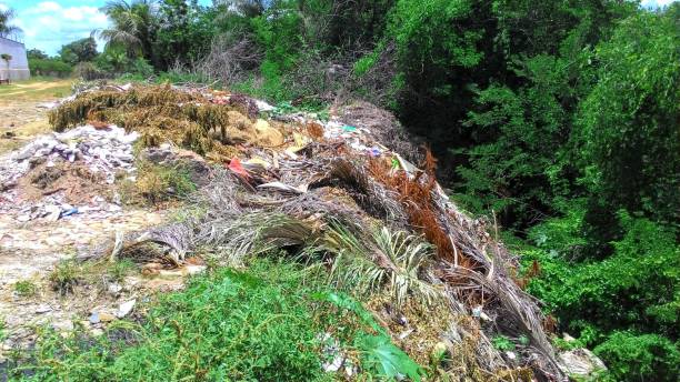 istock Garbage deposited in an area close to vegetation 2160802863