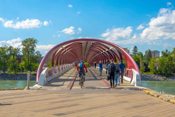 Calgary, Alberta, Canada. Jul 04, 2024. Front view of the Calgary Peace bridge.
