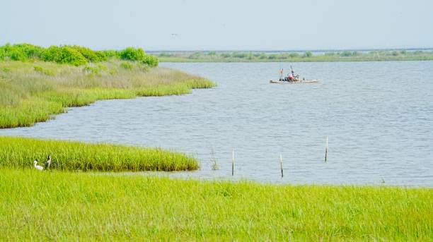 istock Bird watching and kayaking at Galveston Island State Park Texas 2160804083