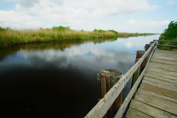 istock Anahuac National Wildlife Refuge Texas 2160804213