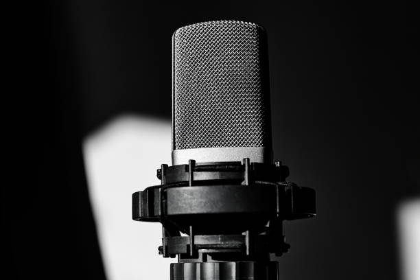 istock Monochrome image of a microphone in black and white 2160804715