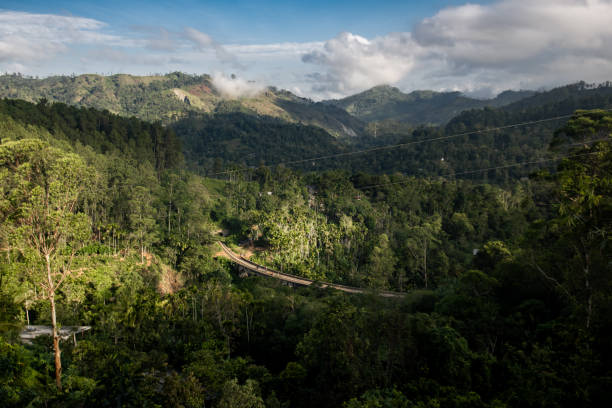 istock Serene Sri Lankan Landscape Featuring Lush Greenery and Mountain Range 2160807059
