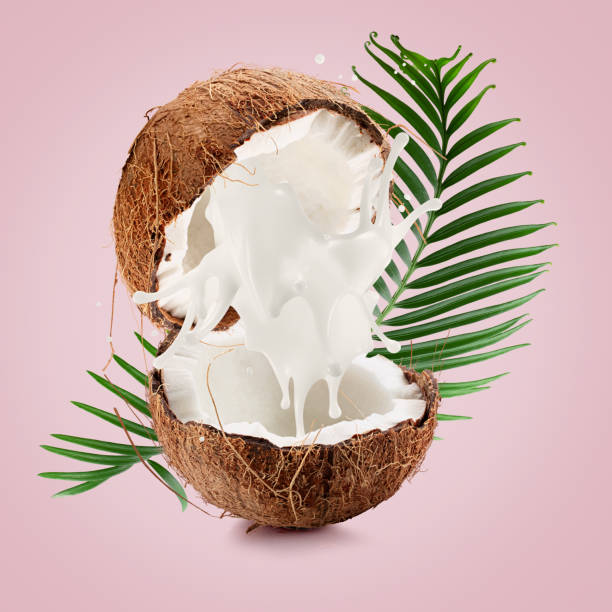 istock coconuts with palm leaves and milk splash on a light pink background 2160808414