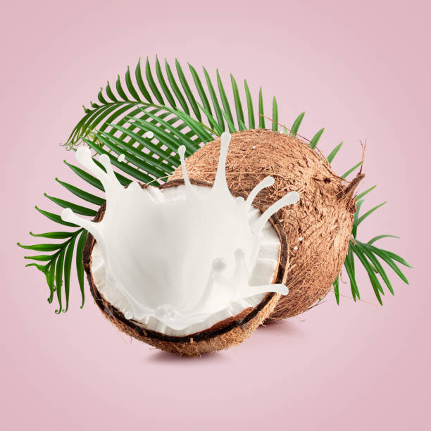 istock coconuts with palm leaves and milk splash on a light pink background 2160808417