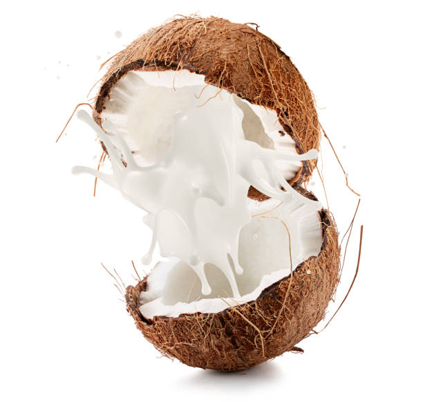 istock coconuts with palm leaves and milk splash isolated on a  white background. Clipping path 2160808498
