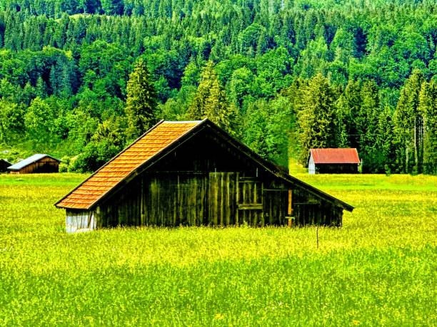 A simple photo of small barns in a Swedish Meadow