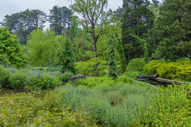Summer garden