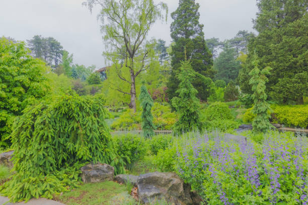 A colourful botanical garden and lush green foliage on a rainy and overcast day.