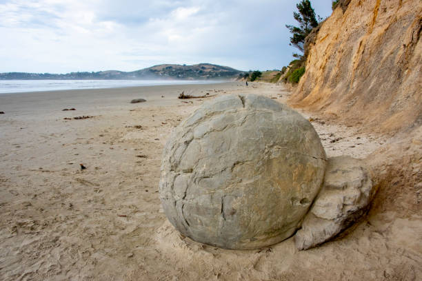 Moeraki Boulders Beach - New Zealand
