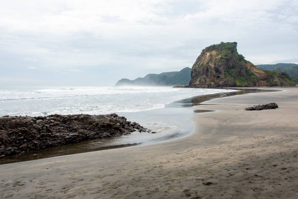 istock Lion Rock on Piha Beach 2160822583