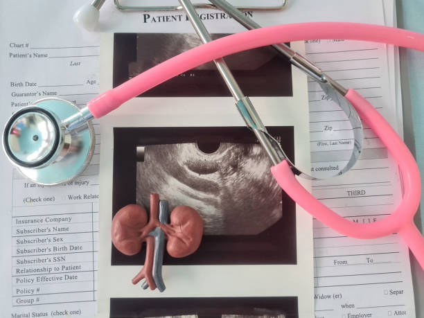 istock Pink Stethoscope on Patient Registration Form With Kidney Model and Ultrasound Image 2160822752