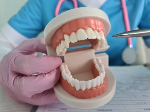 istock Dentist Demonstrating Dental Care With Plastic Model 2160822866