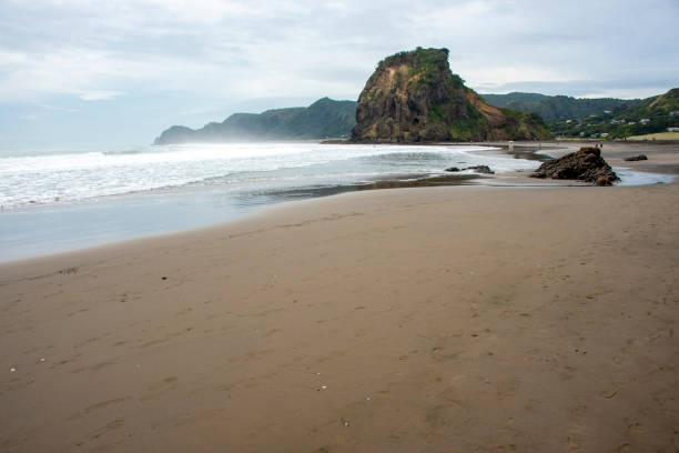 Lion Rock on Piha Beach - New Zealand