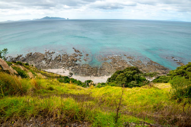 istock Mangawhai Cliff Walk 2160823696