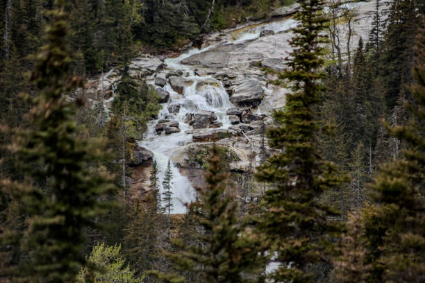 This river flows through the mountains of Alaska near Skagway