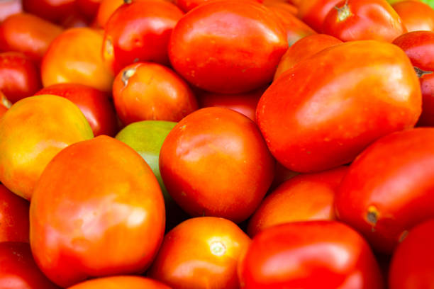 A vibrant display of freshly harvested tomatoes at an Indonesian traditional market. The bright red and orange hues of the tomatoes highlight their freshness and quality, creating a colorful and authentic market scene. Perfect stock image for themes related to local markets, fresh produce, agriculture, and traditional Indonesian food culture.