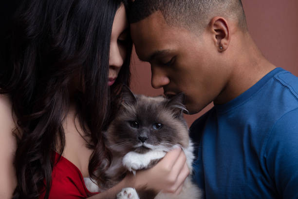 istock Young couple admiring and showing affection to their birman cat 2160831274