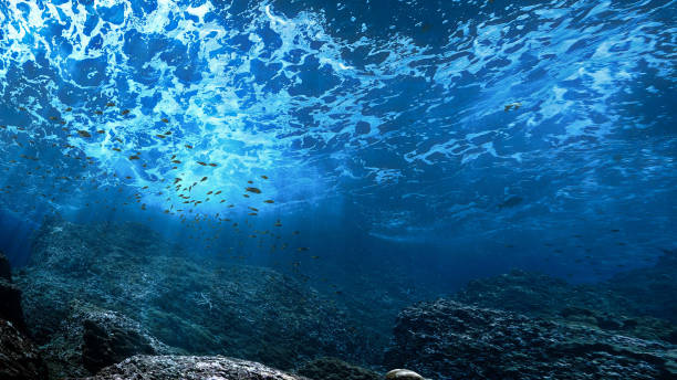 istock Waves and rays of light at a coral reef 2160832508