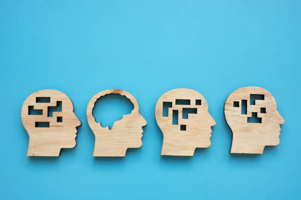 istock Lateral thinking or emotional intelligence. Models of the head with the brain. 2160835375