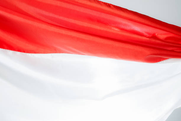 Indonesian flag, red and white flag