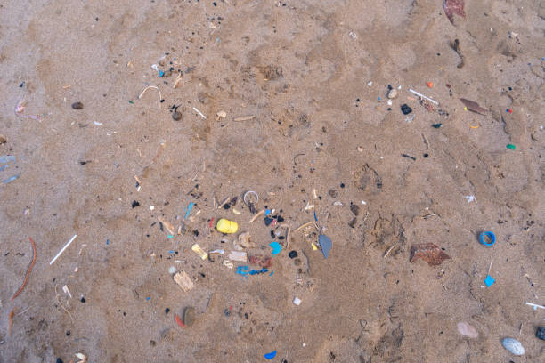 istock Microplastics on Legzira Beach, Plastics Garbage in Morocco Coast, Dirty Shore in Marocco Legzira 2160841905
