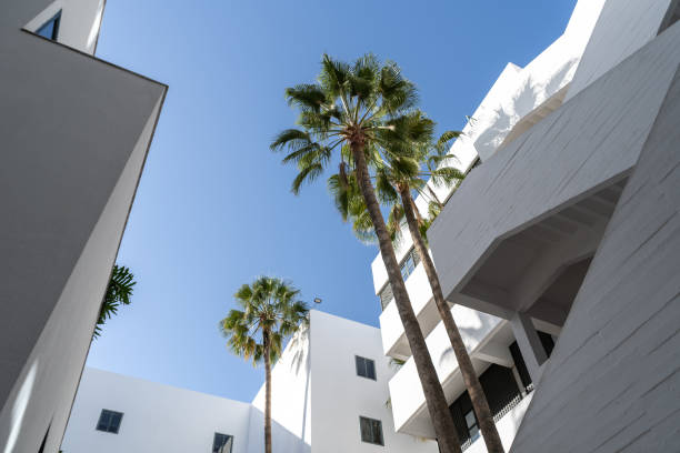 istock Modern white buildings with palm trees on blue sky background. The clean architectural lines, lush green palms 2160842360
