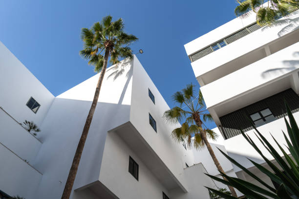 istock Modern white buildings with palm trees on blue sky background. The clean architectural lines, lush green palms 2160842362