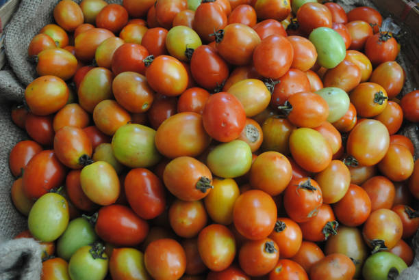istock Close up of tomatoes. 2160843723