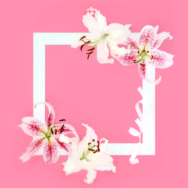 istock Lily Flower Background Border Floral Frame Design 2160847025