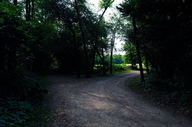 Country road