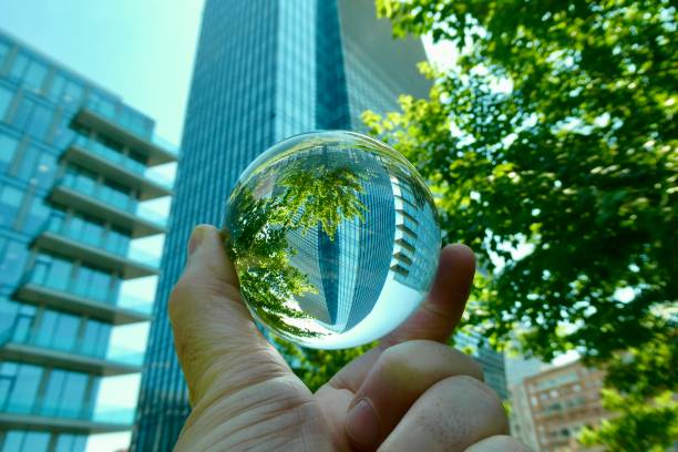 istock Hand holding crystal ball with skyscraper and trees background 2160849983