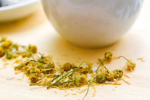 Chamomile tea cup shape made from blooming daisies isolated on light green background. Camomile health benefits.