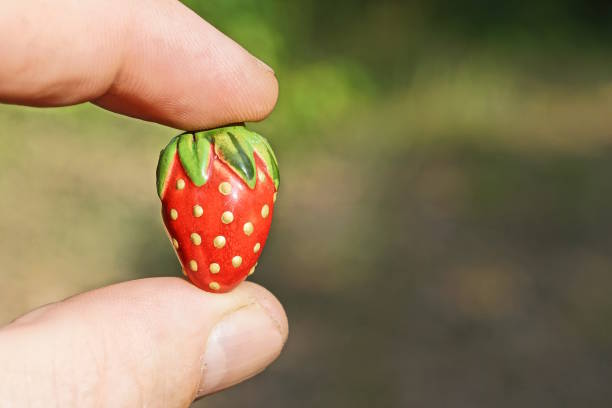 fingers holding one small plastic red toy berry strawberry outdoors on gray background