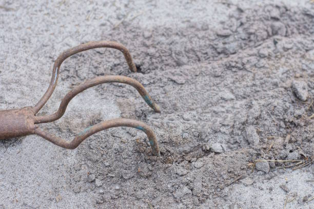 istock one small brown iron rake lies on the gray sand 2160851580