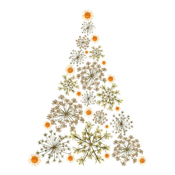 Dried pressed flowers in the shape of a Christmas tree isolated on a white. Perfect for creative Christmas and New Year greeting cards. Pressed floristry, oshibana.