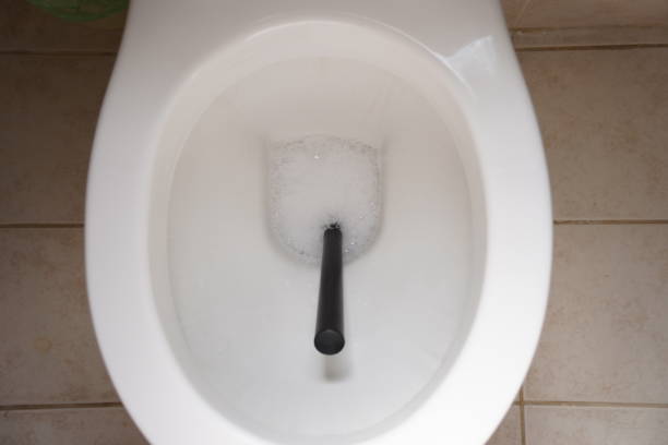 istock Cleaning and disinfecting the toilet 2160855121